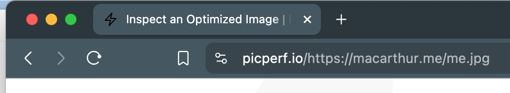 navigating to a PicPerf image in the browser