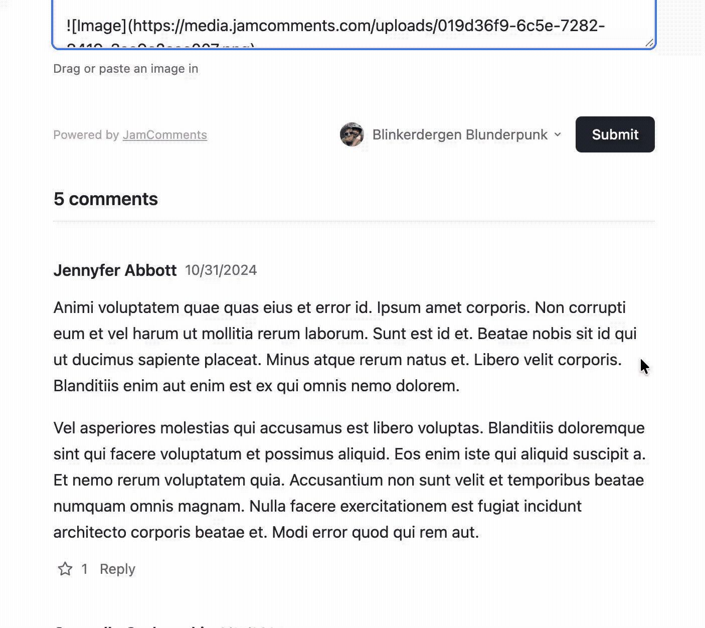 image slowly loads in after comment is submitted