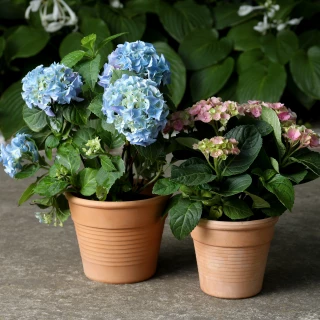 AdobeStock 457118321-4482x4480