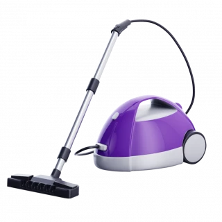 Nettoyeurs à vapeur Nettoyeurs à vapeur