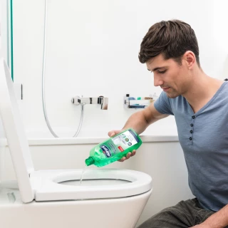 forte mood forte mood