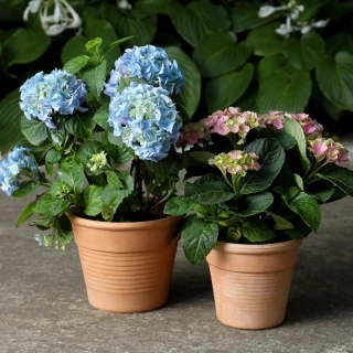 AdobeStock 457118321-4482x4480