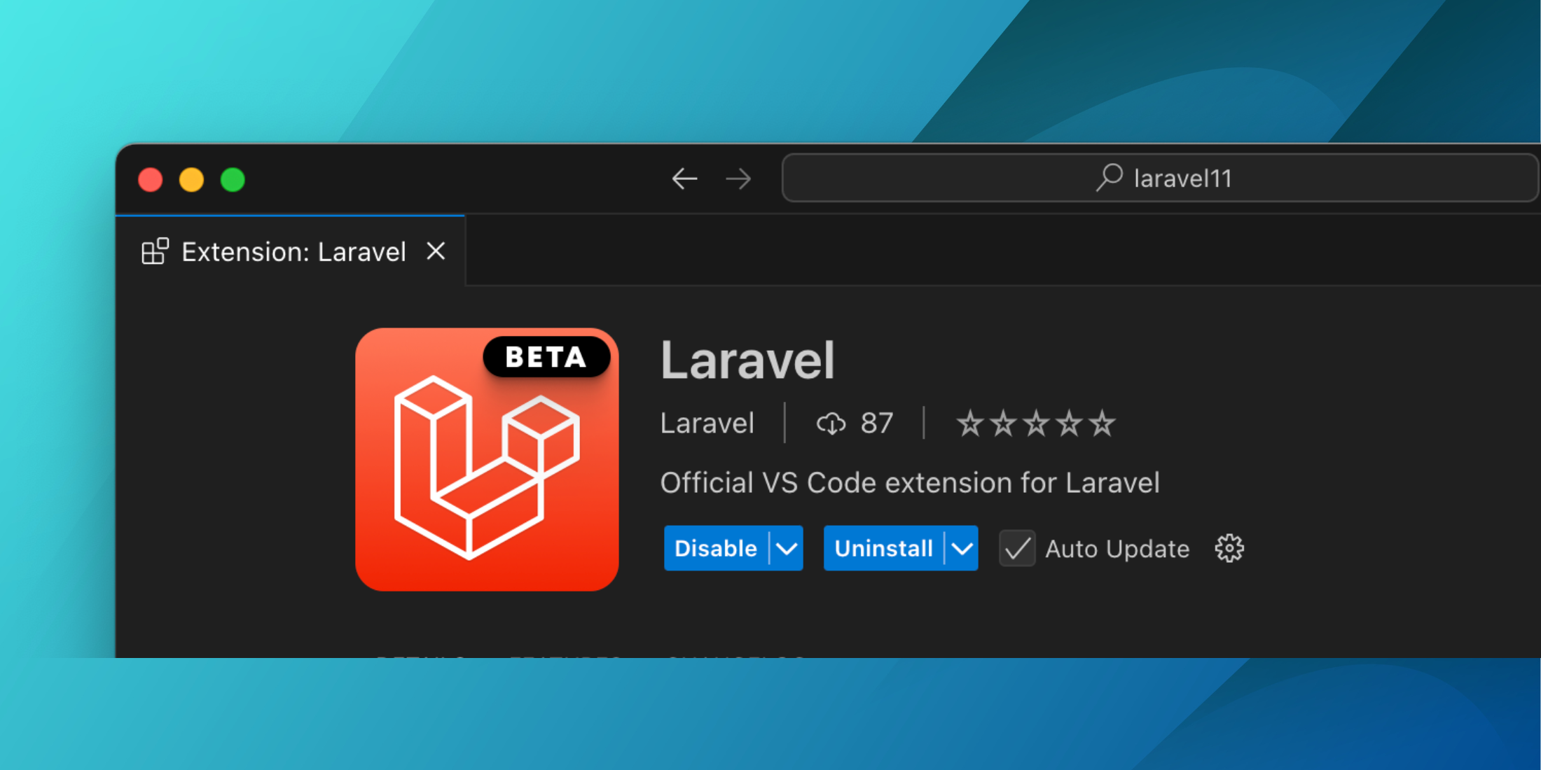 Laravel VS Code Extension Public Beta image