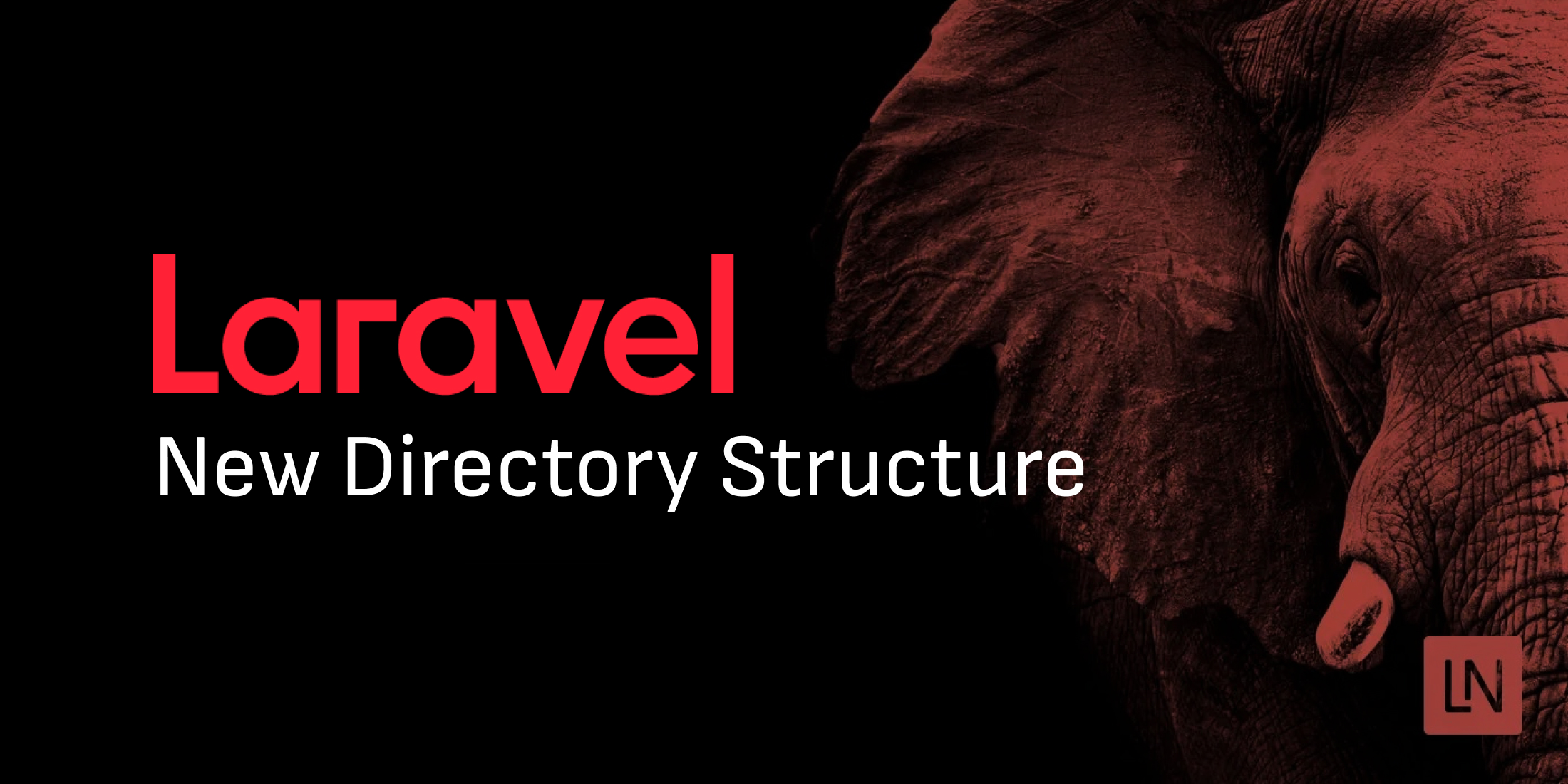 Dive into the Streamlined Directory Structure in Laravel 11 image