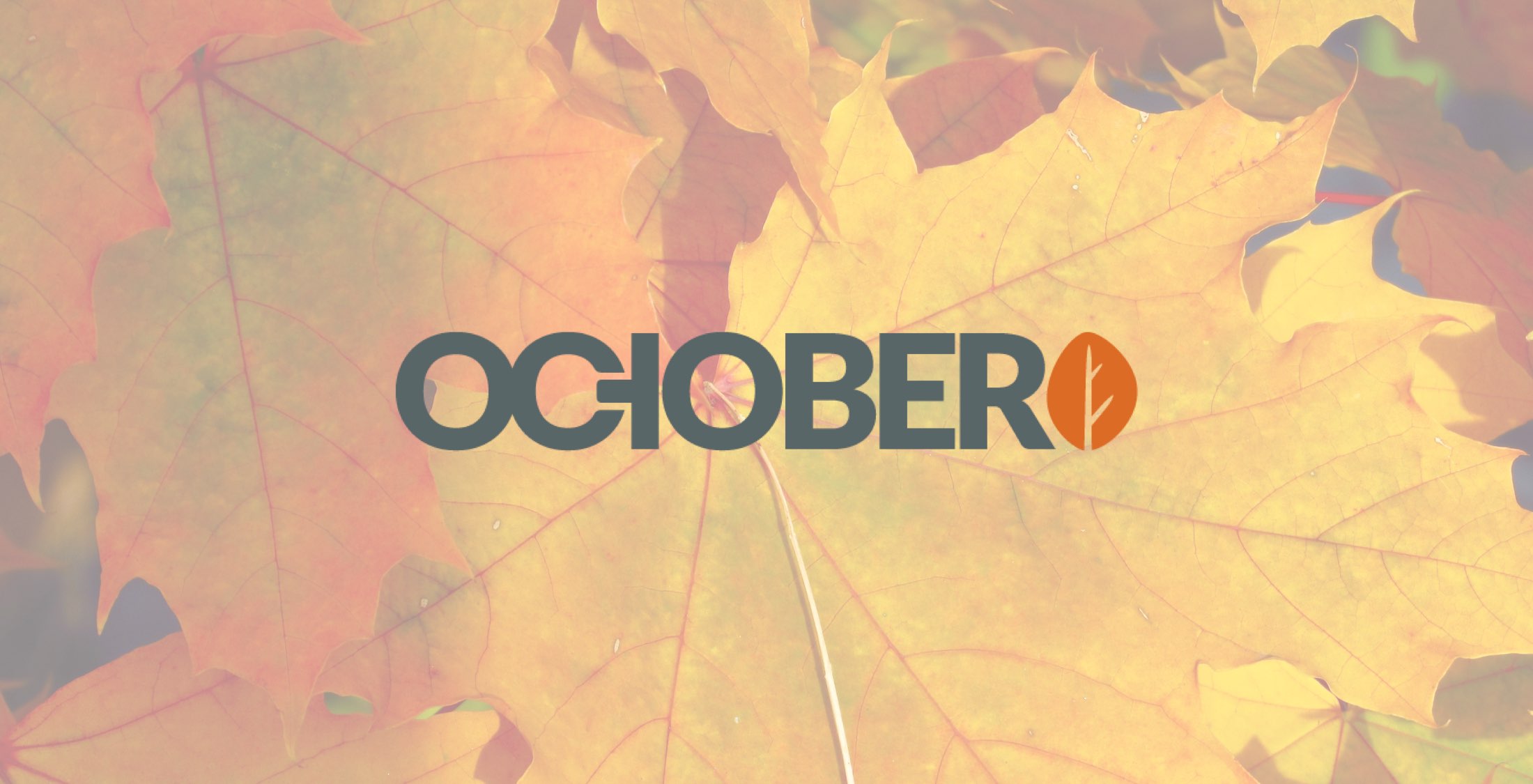 How To Install OctoberCMS on Ubuntu image