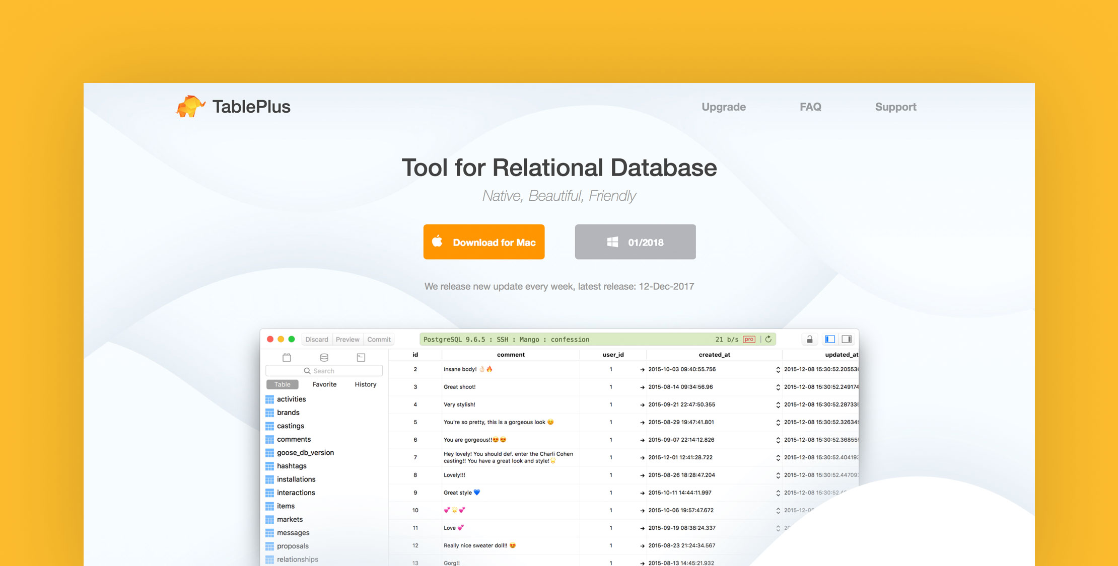 TablePlus Relational Database GUI image