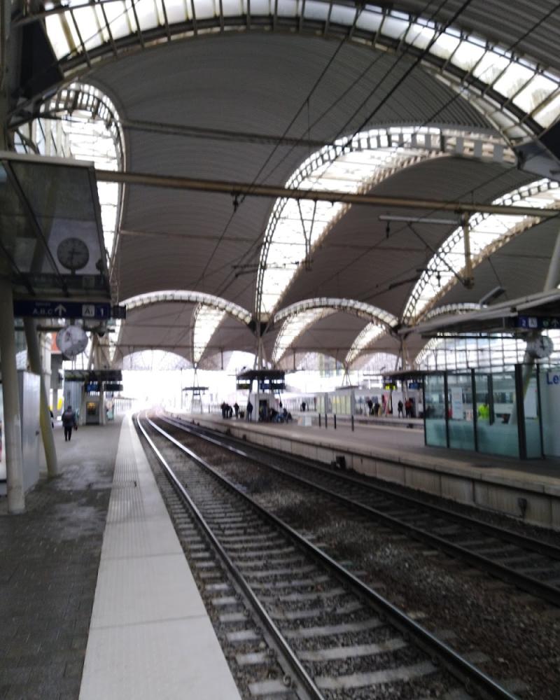 1a37355f-ab83-43f2-9ffe-7c93c092dba4