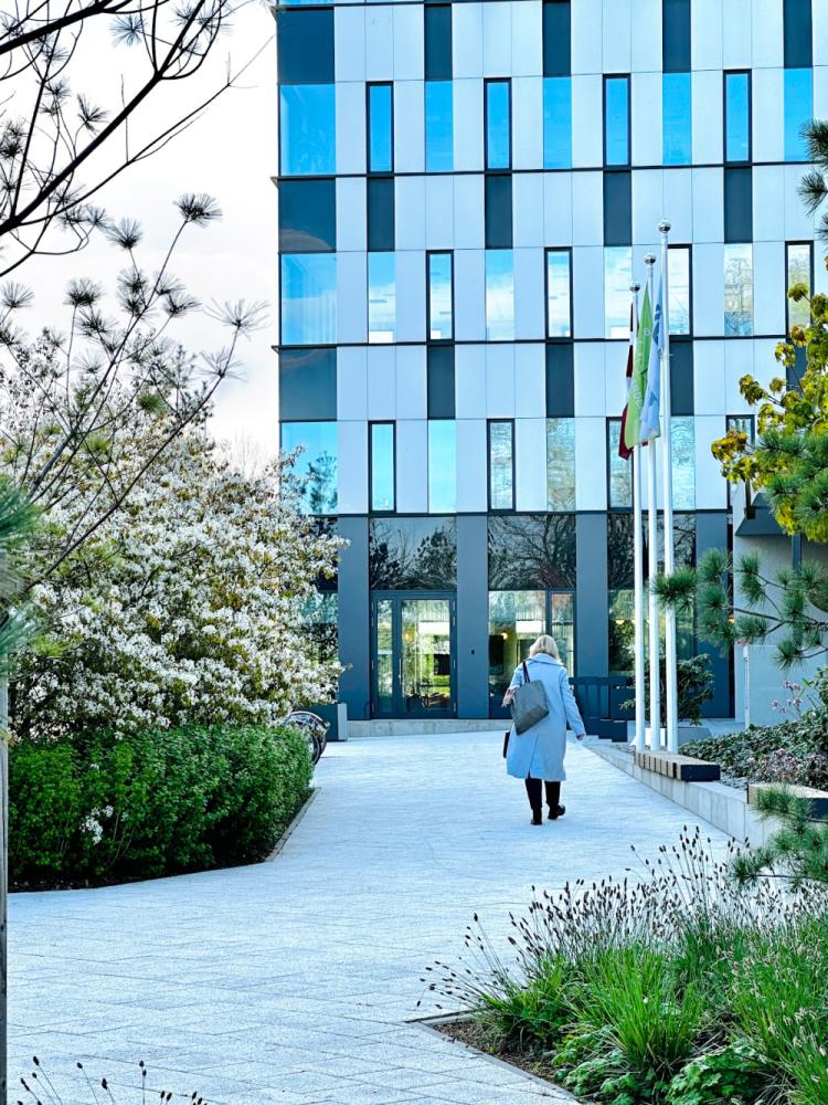 e5140839-7d21-4e6b-89a6-dcc18cc0cfc3