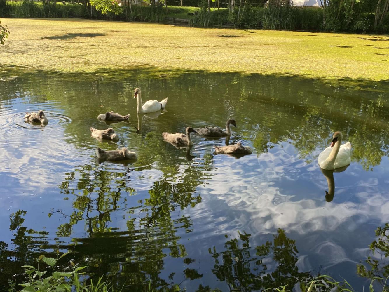 98df1479-8aaf-4014-9eff-dd1a677b99b5jpeg