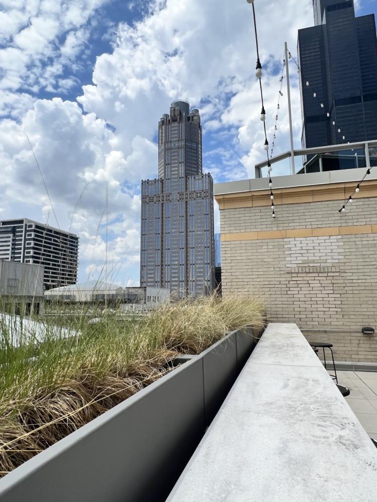 e0c503b2-9e34-4f6f-add4-19919d0c6f1b