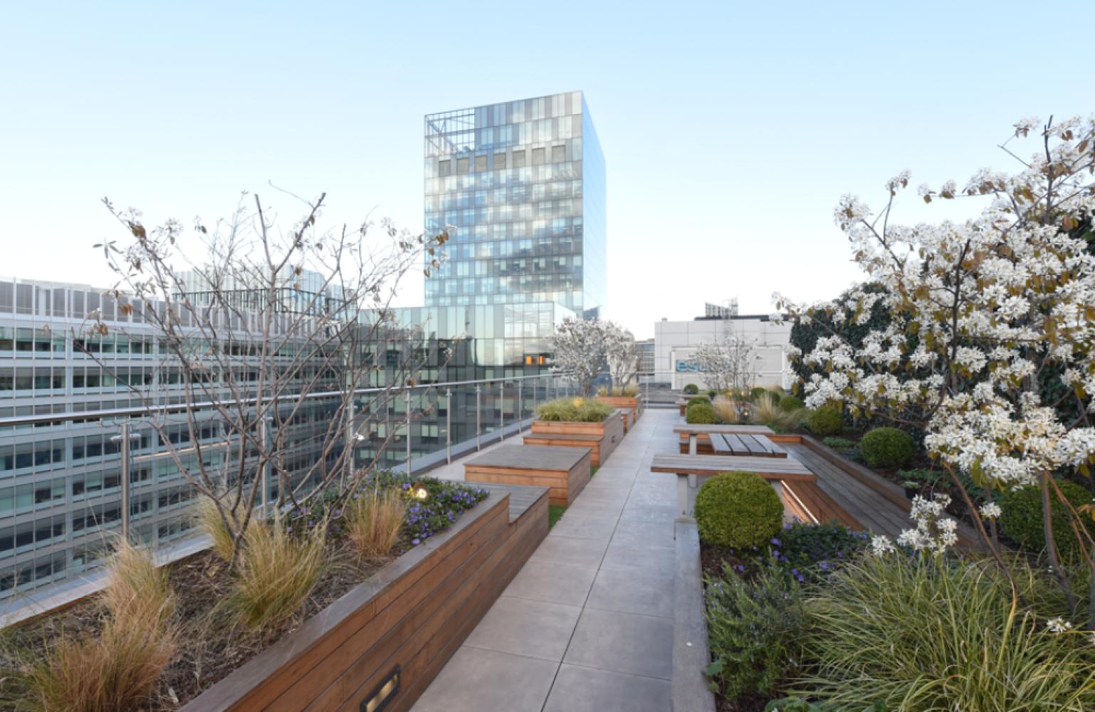 d5425993-68e6-42c6-9b0d-c317f614b812_bold-rooftop