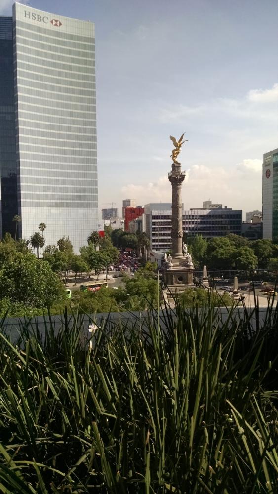 5faee54e-72ed-44d6-996e-0d1004491389