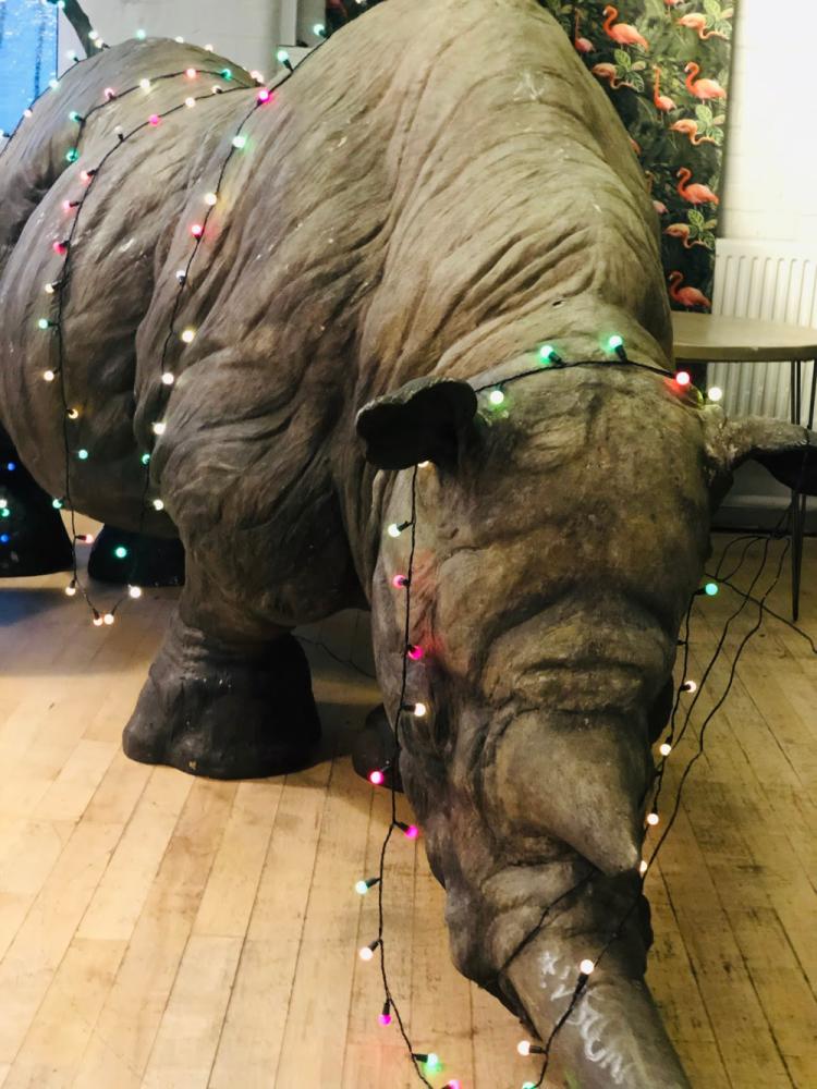 9c509155-e08b-4f96-82ce-a1756783dbd6