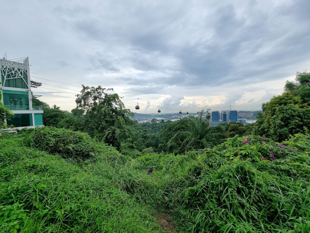 9d5311f6-1ebc-4bcc-95aa-bba485f84fdd