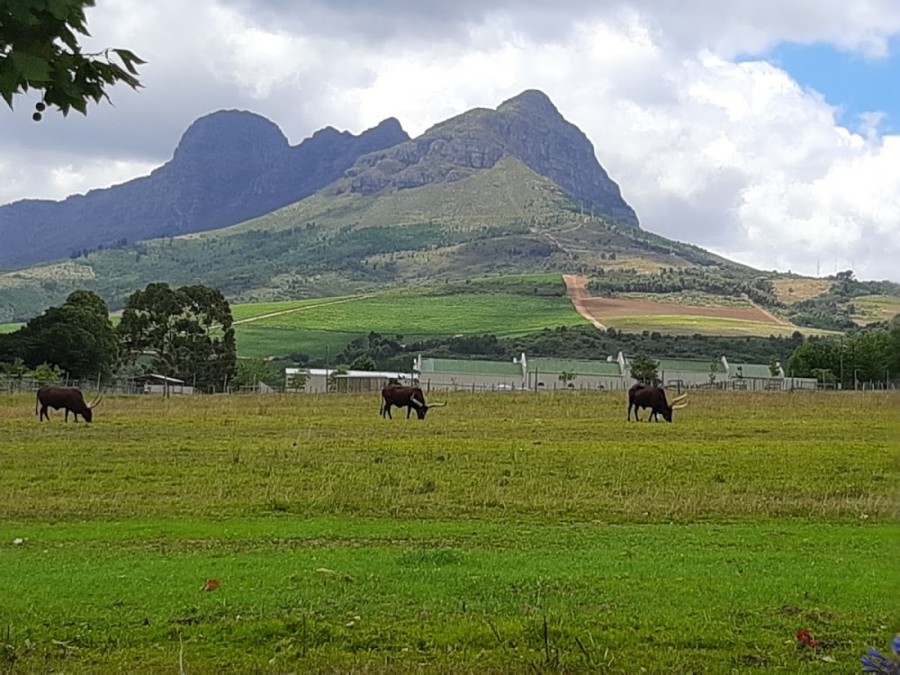 9d531261-00b7-4784-8c95-7d6c1482a15f