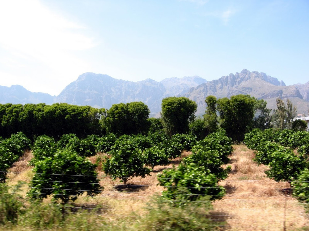 9d531261-a5b8-4962-b141-6e08440dc9bd