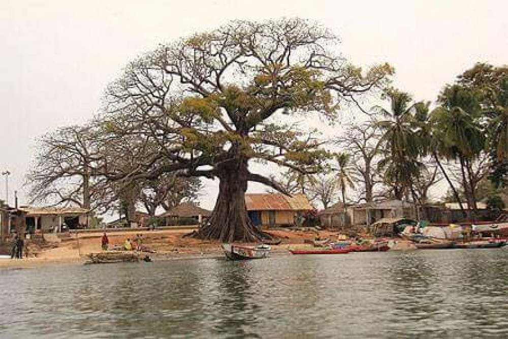 9d5312dc-2b24-4c79-985f-f1a841019940