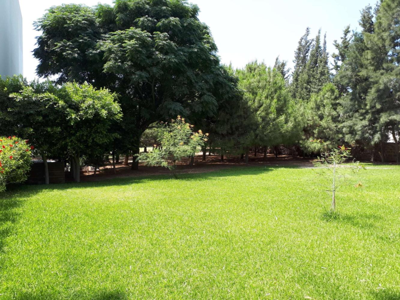 b8422086-f860-420a-b7f0-2311c3d94ee3jpeg