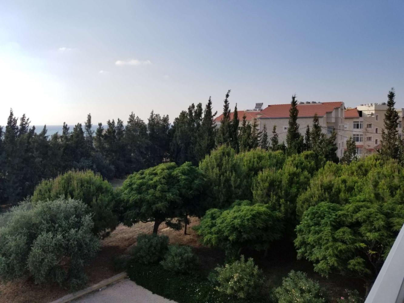 7a09b09c-803c-4411-b977-1b0e9dcb74d8jpeg