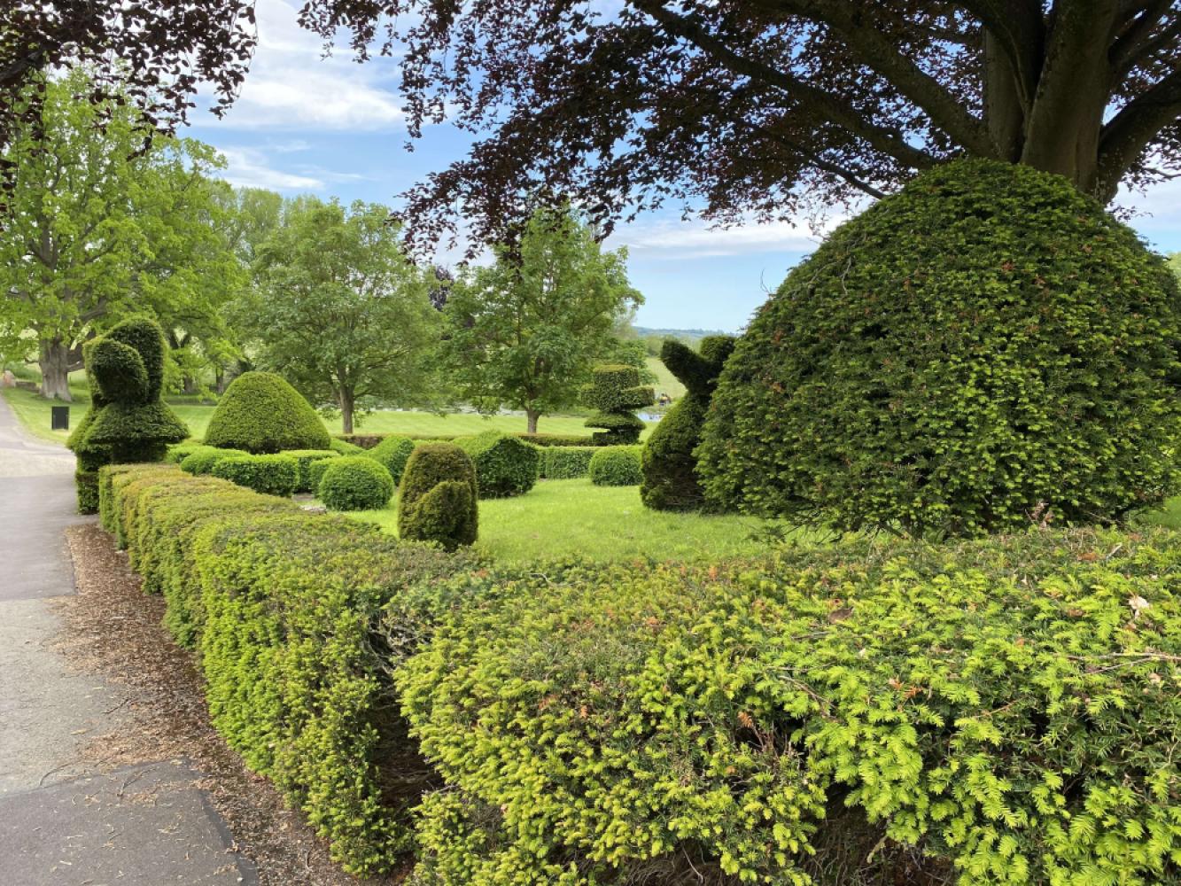 4b5648be-d851-41a7-9f18-5799106283ddjpeg