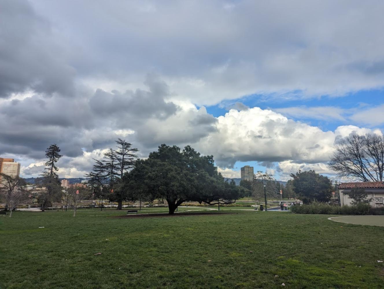 04203f35-34af-46a0-be86-ed4911d46b11