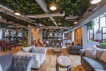 ARBORETUM workspace image