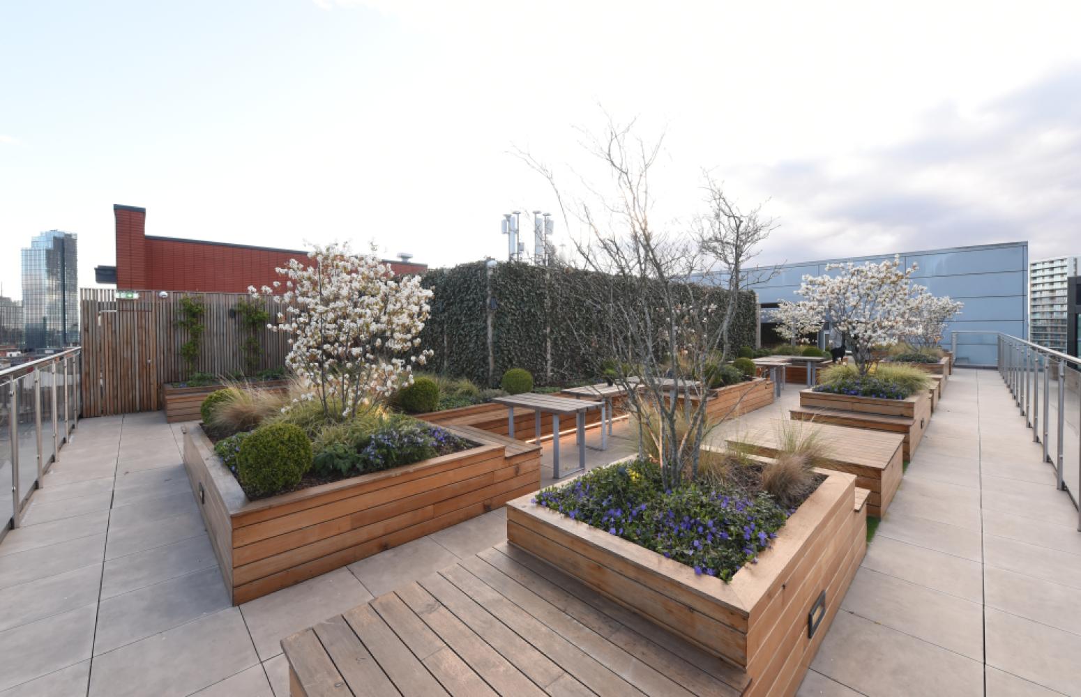 39d73d88-5bfb-4e27-a948-92d96fdbcff3_bold-rooftop