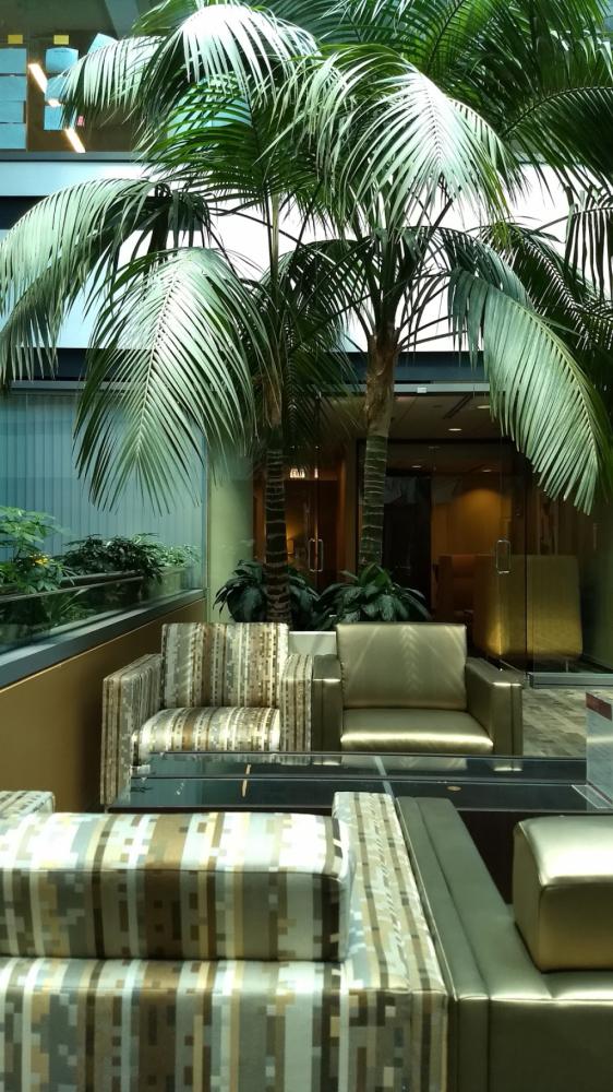 fc7edf63-cfad-4b1d-b81e-2c9d78b33eed