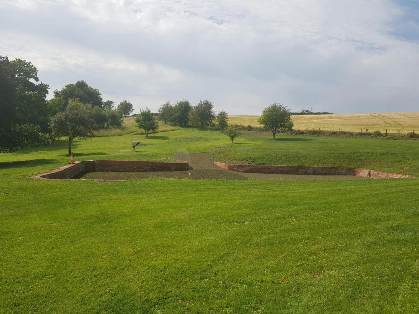 d23a9734-a544-4fca-a118-284b495422cf_july3120201