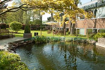 Café & Garden-3