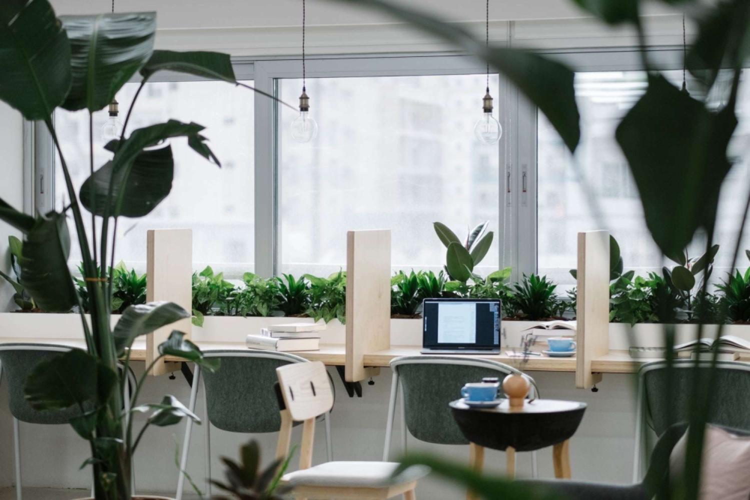 c7cf39eb-e6fb-4f60-a6e0-7f56b145dc12jpg