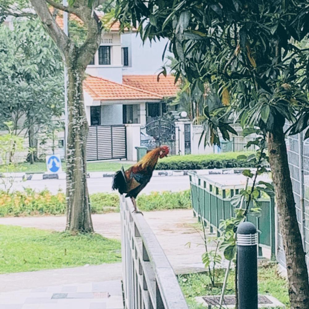 f2fadeea-70ab-4eab-8394-3d4ad5fd972a