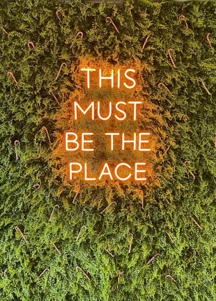 1bef0552-1552-42dd-bc50-1093033d3733jpg