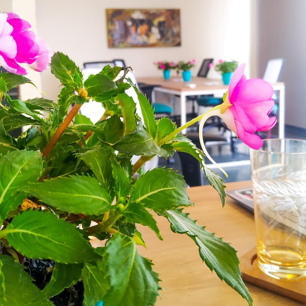 774dd69b-e4c8-4492-b837-e73a7d9d99e4