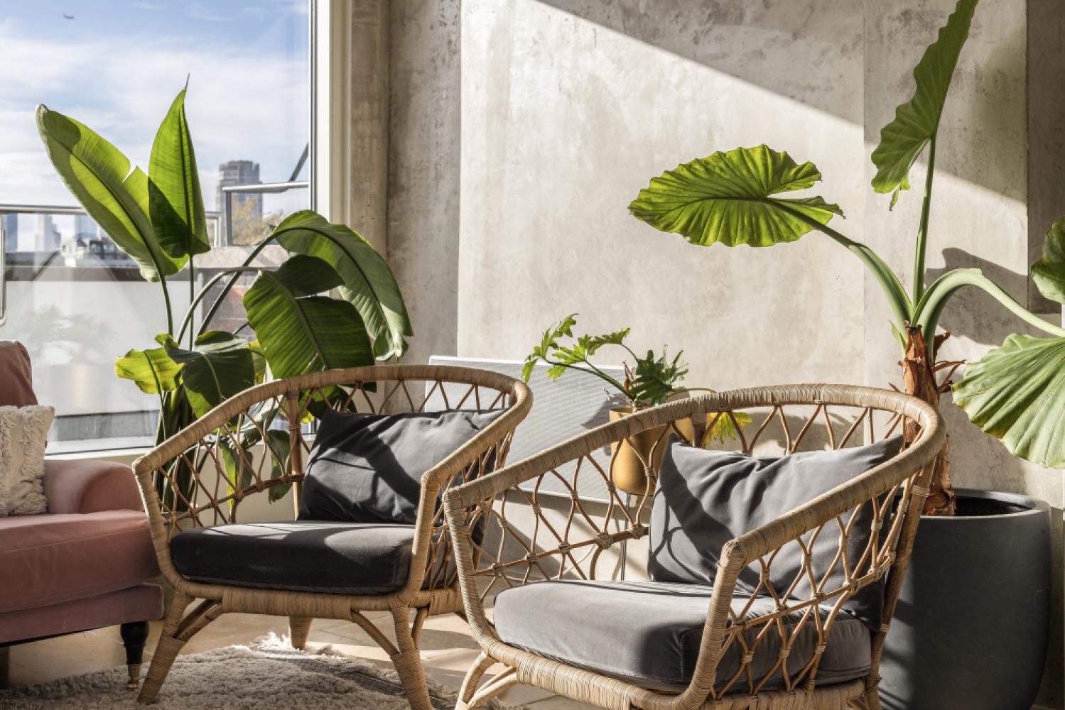 aedf4931-0425-4058-bf79-1a76b82ca859_menierpenthousepic004