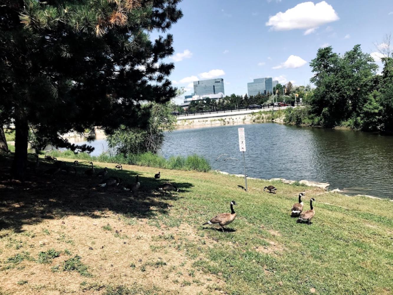 2a7f504c-c2cb-4e4d-8c07-acbe44622800