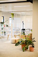 Living Area-7
