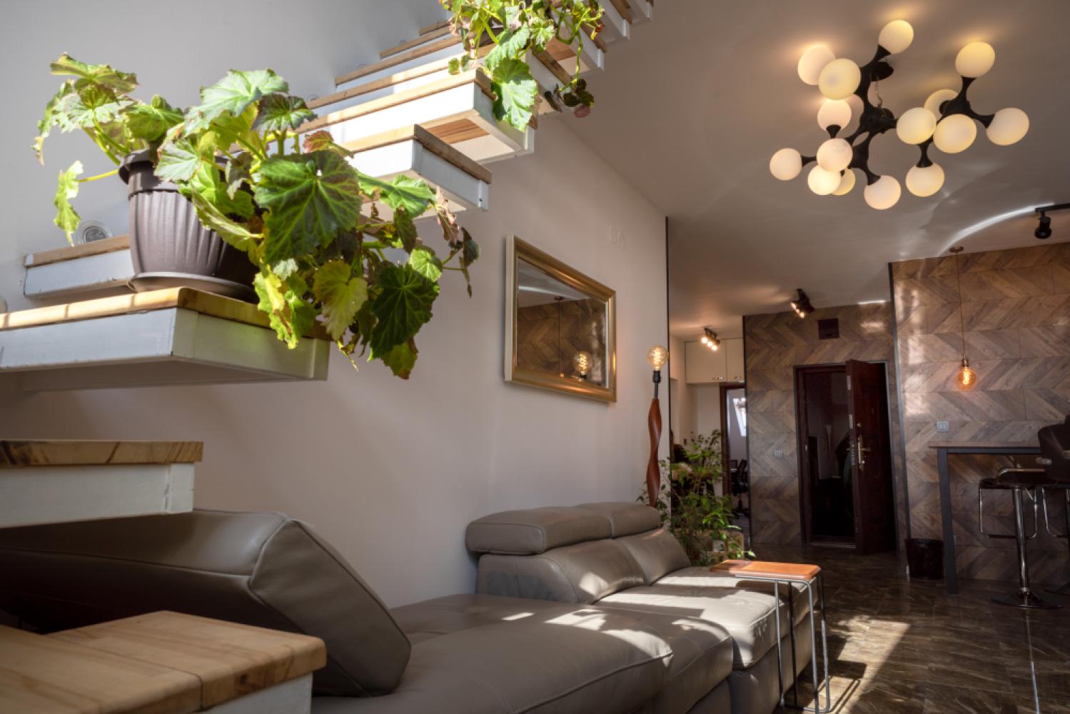 45894f83-e6f9-4a4c-9e6a-a9ed2af2ffe9_dsc_3602copy