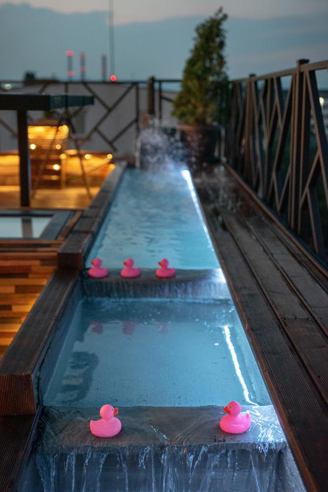 172176fa-1847-42cd-90f3-8856f199c548_1