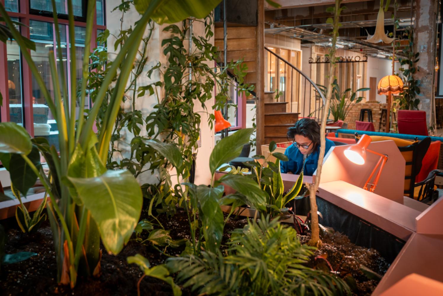 05dfd1e8-2c51-4667-a7d2-50851b09a4fc_srg_oru_sutton_crowdfunder_high_res-15