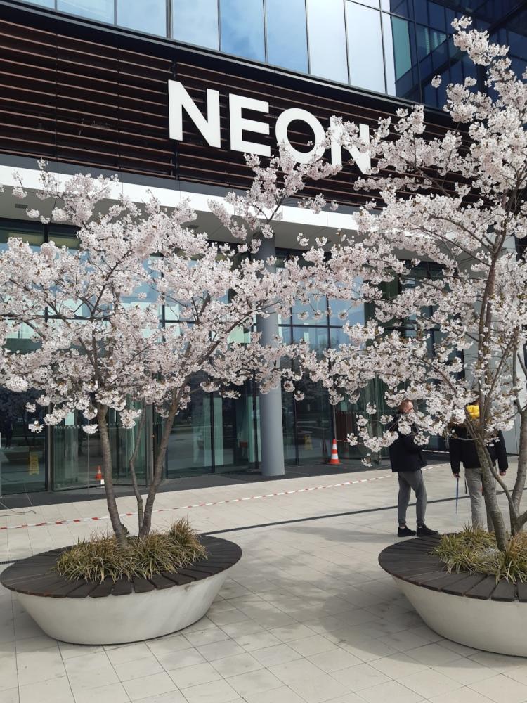 ae4f8569-0df4-4602-ba3e-92f7baa1e64c