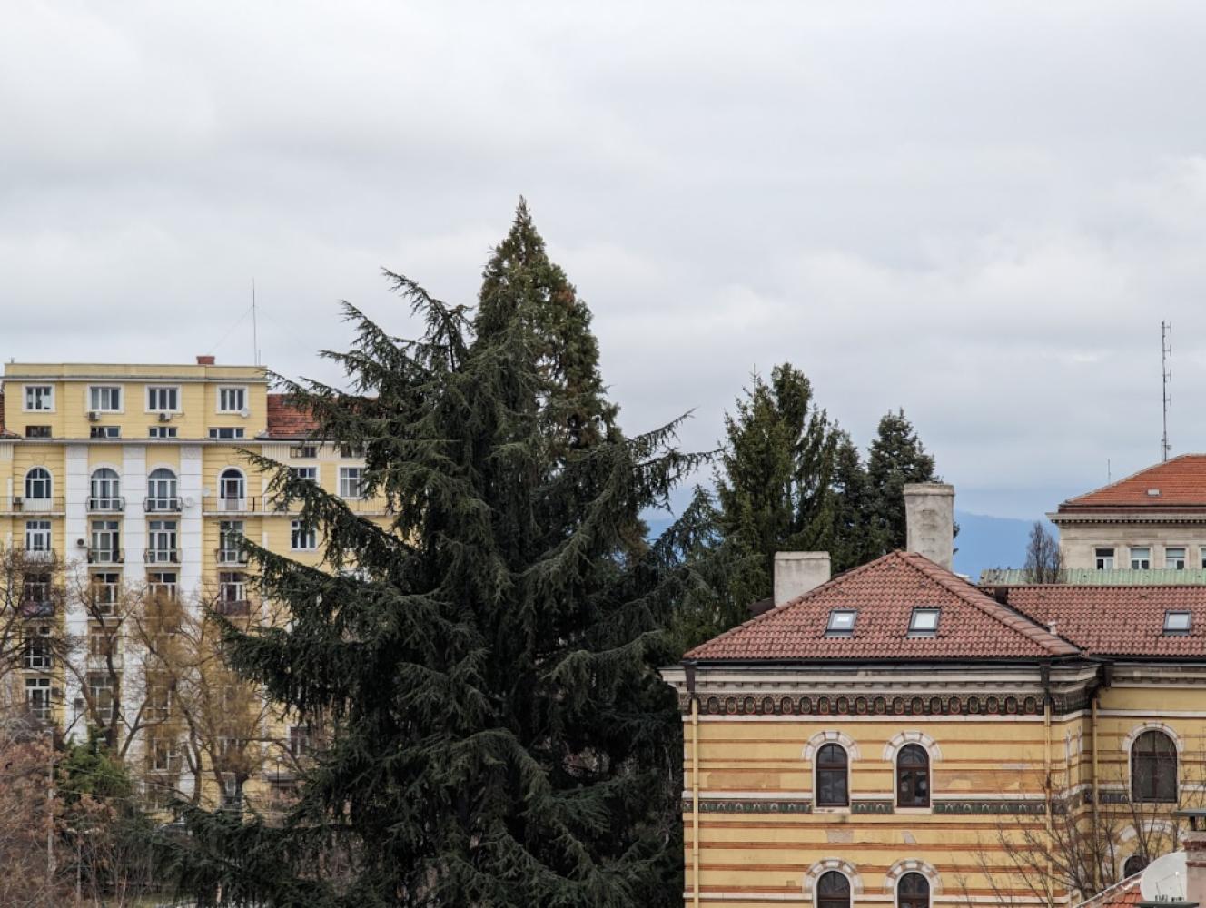 b012e21c-38a3-43ae-8807-1347efde9eec