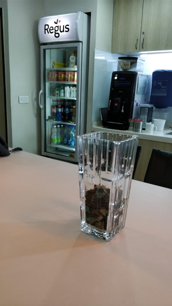 d1693572-ad42-4111-a083-bc1a053b0a6a