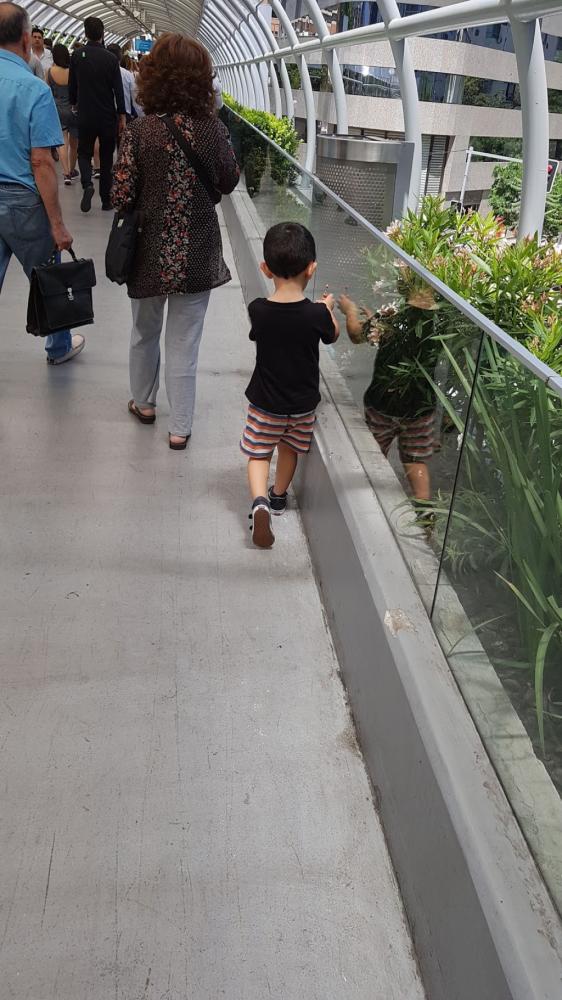 04ad1d2f-a51a-4013-b597-7d69a2911175