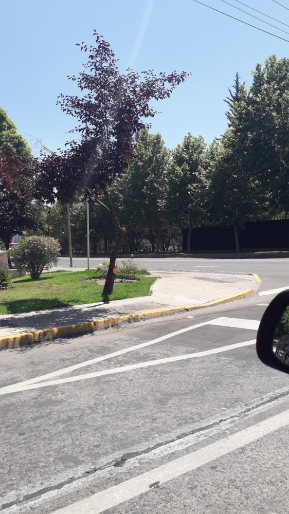 59796c5e-c958-49af-b748-6ac687bc026b