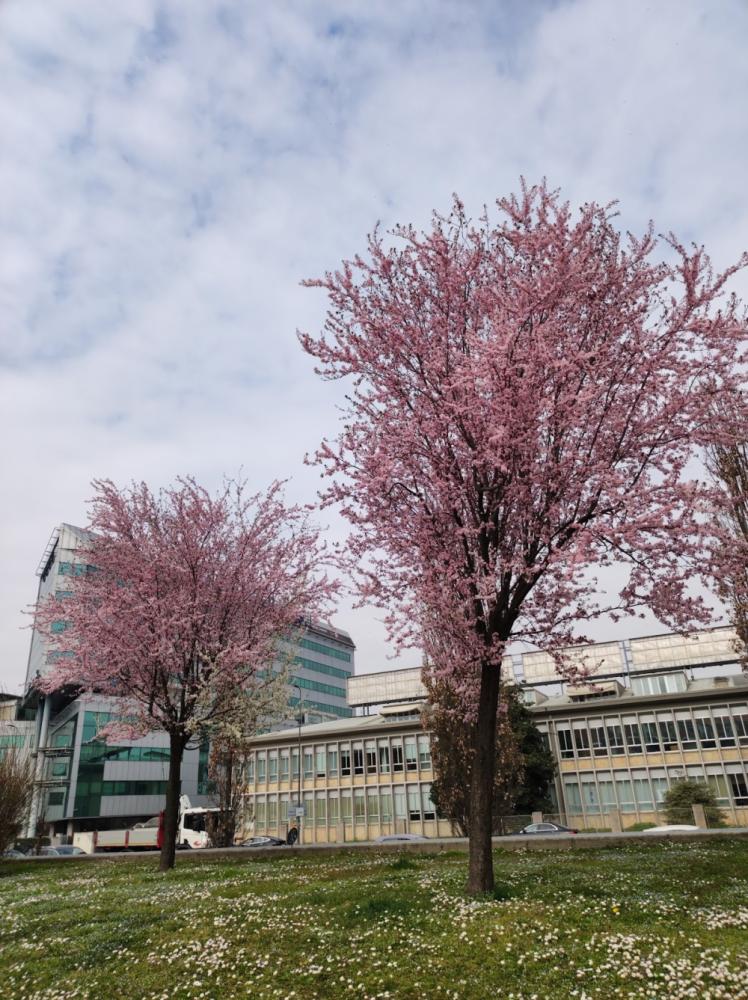 a9e5da47-d94e-4eb4-928c-b15e416f349e