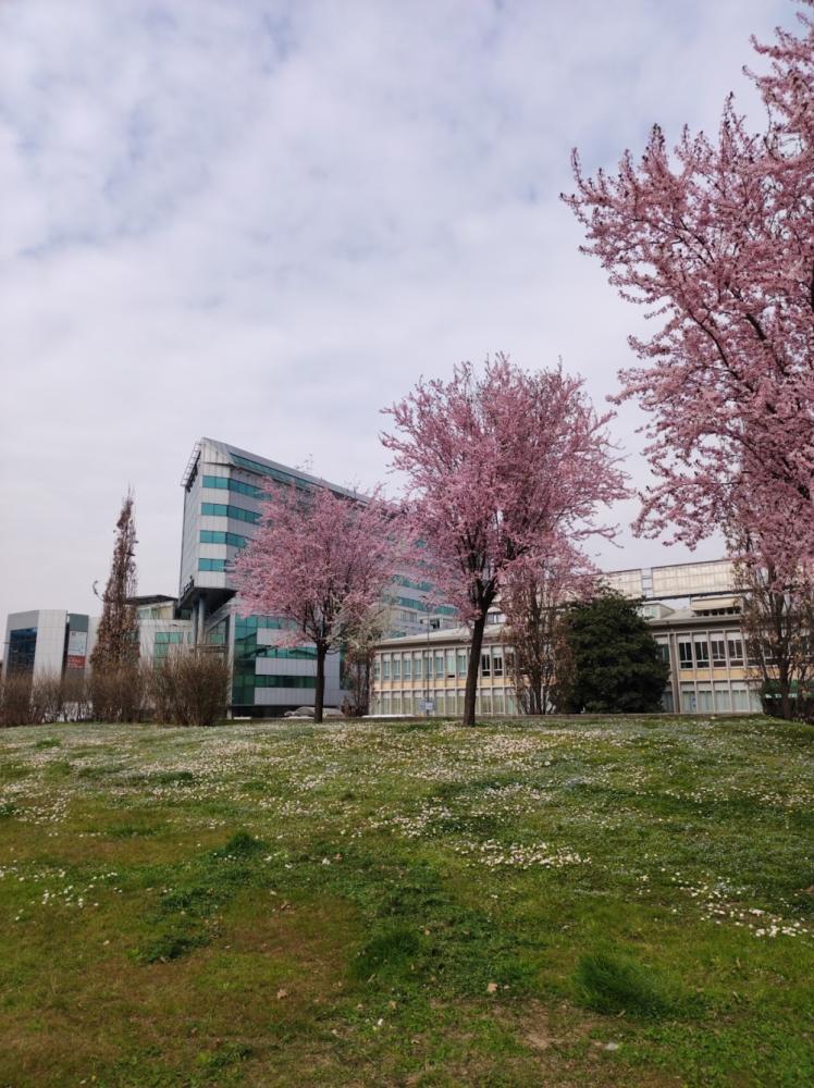 0f2e64c4-1376-49fe-b78b-d64162aa2895