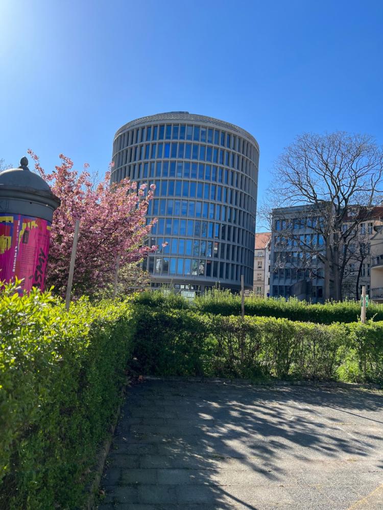 8d998bcf-0b55-41f1-8a17-0d865c789d21