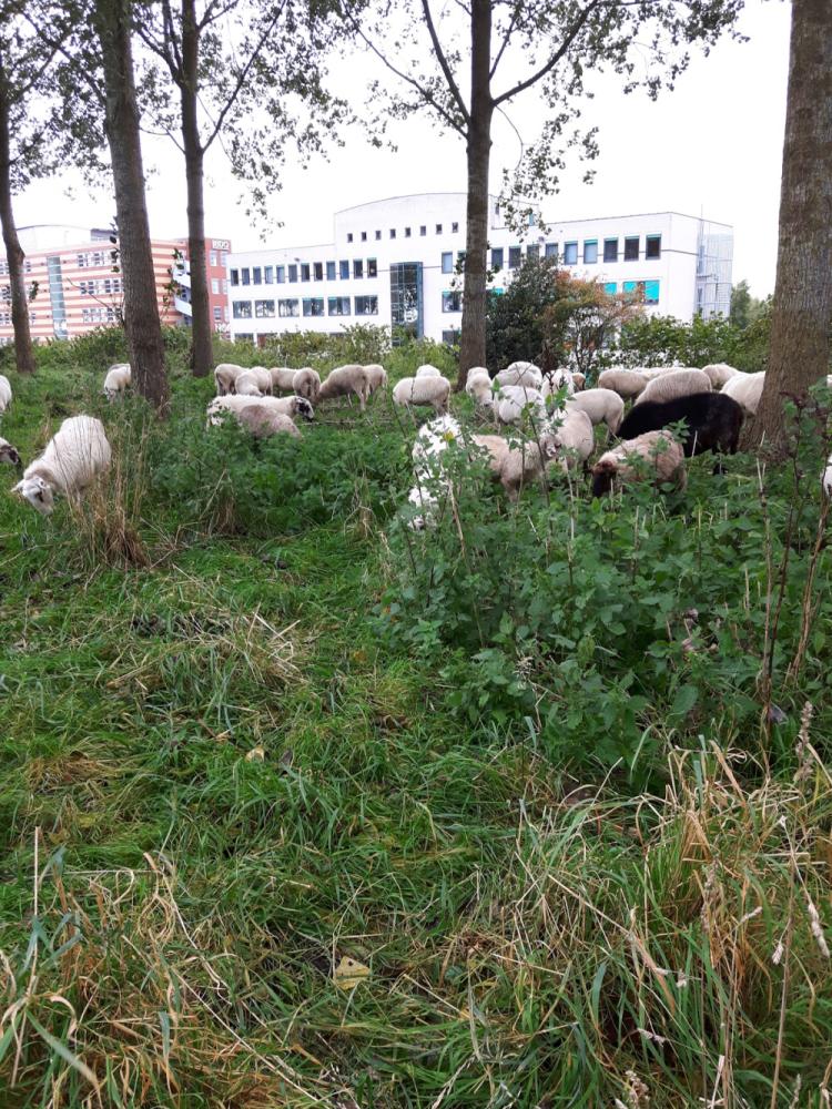 a850943d-6934-445b-a816-f94d955f3327