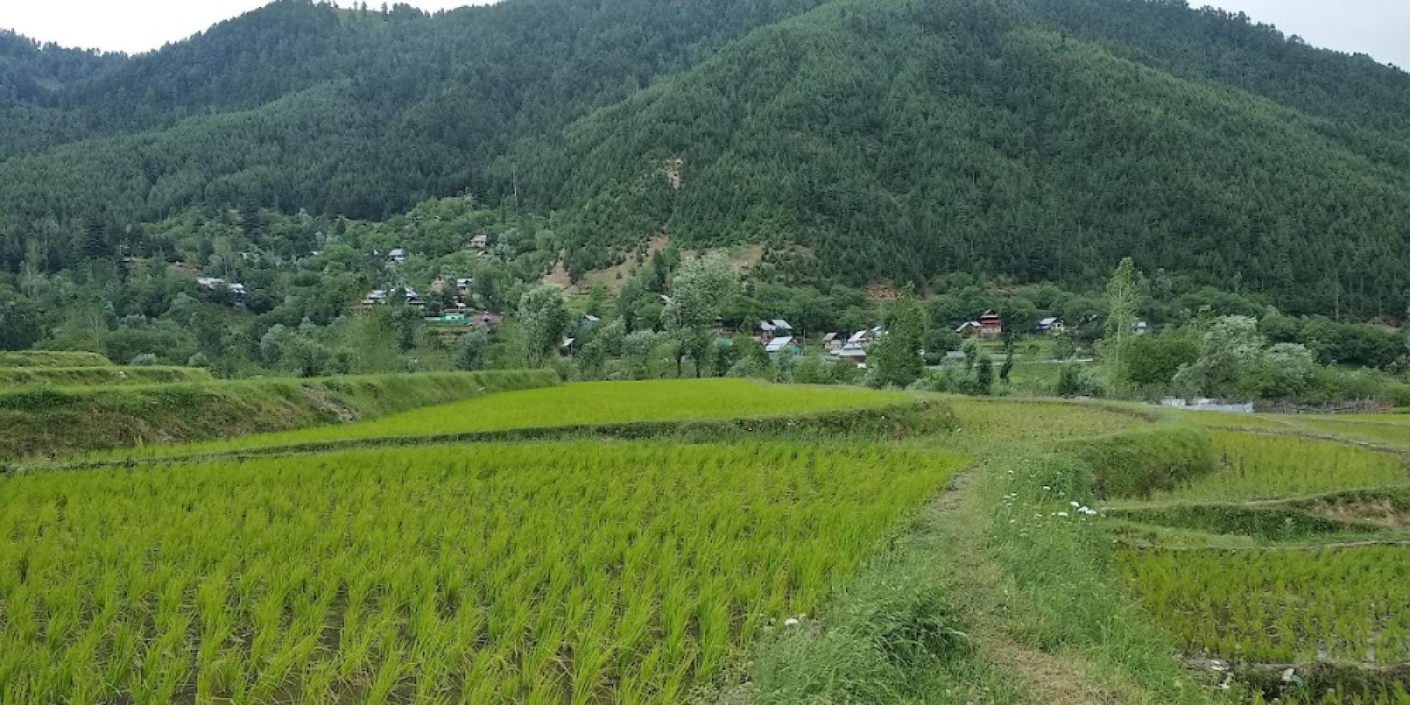 a75b0f80-5780-4336-a8d8-870070c0b932